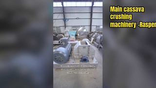 Rasper de mandioca de qualidade alimentar