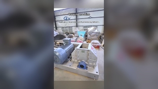 Rasper Comercial Robusto