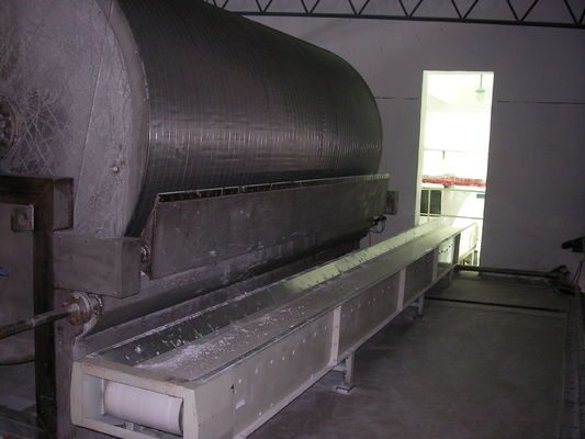 Filtro de cilindro giratório de secagem da área da maquinaria 20m2 do amido SS304